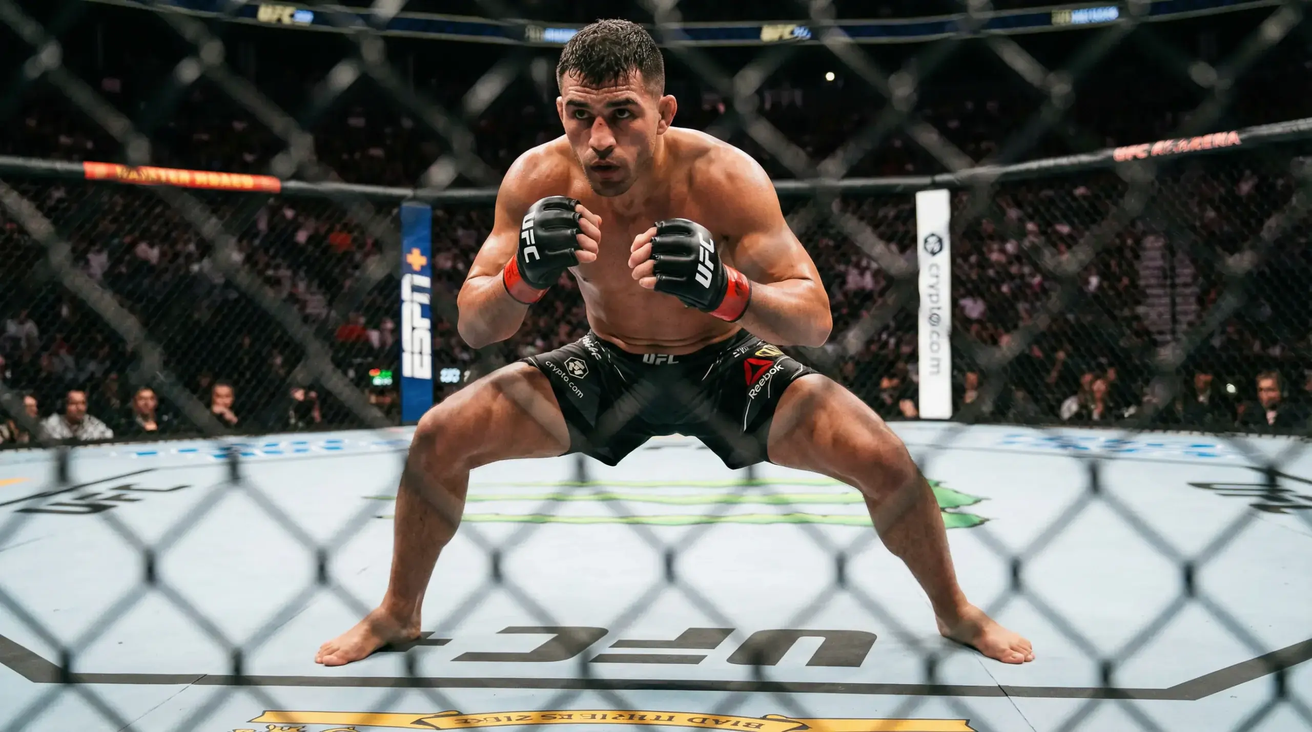 Análise técnica de lutas UFC para apostas